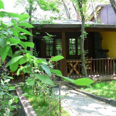 Fatsa Dolunay Fanizan Hotel מראה חיצוני תמונה