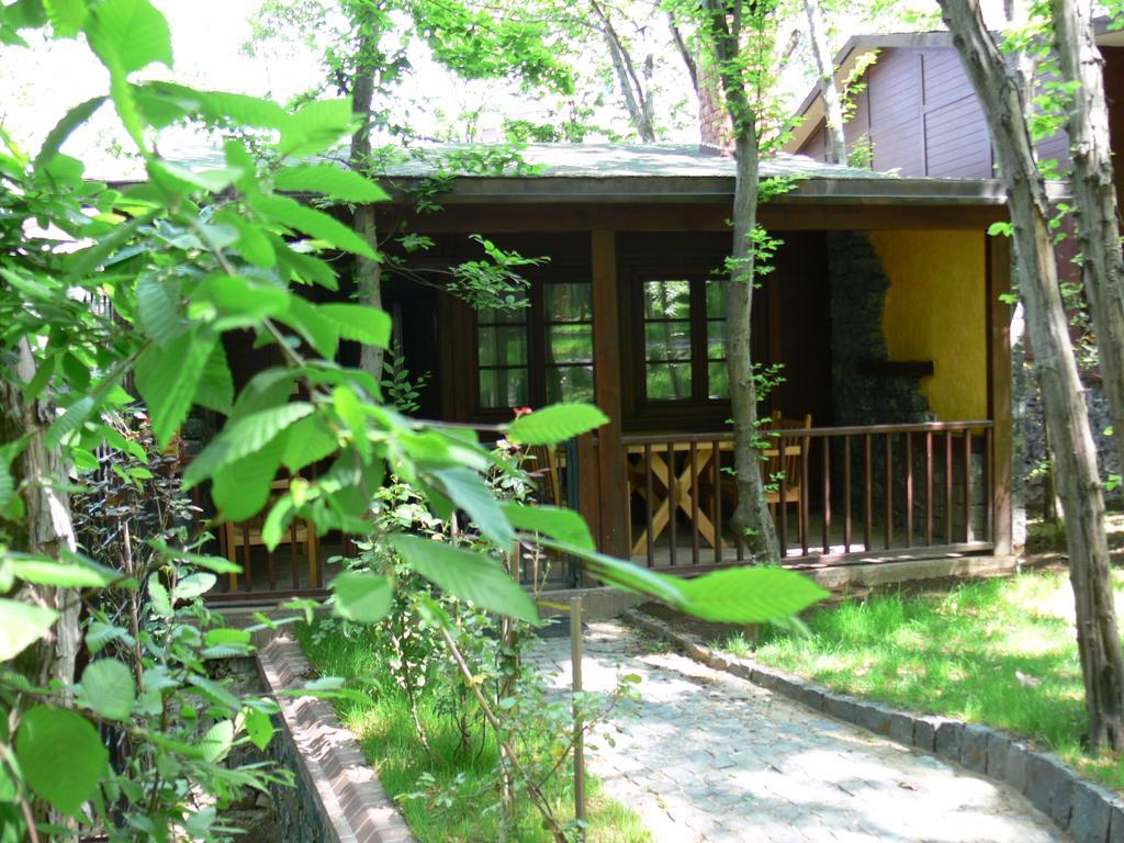 Fatsa Dolunay Fanizan Hotel מראה חיצוני תמונה