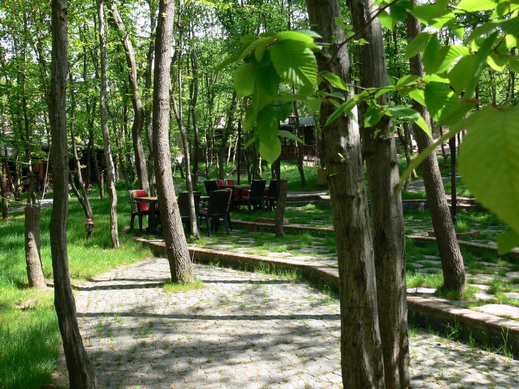 Fatsa Dolunay Fanizan Hotel מראה חיצוני תמונה