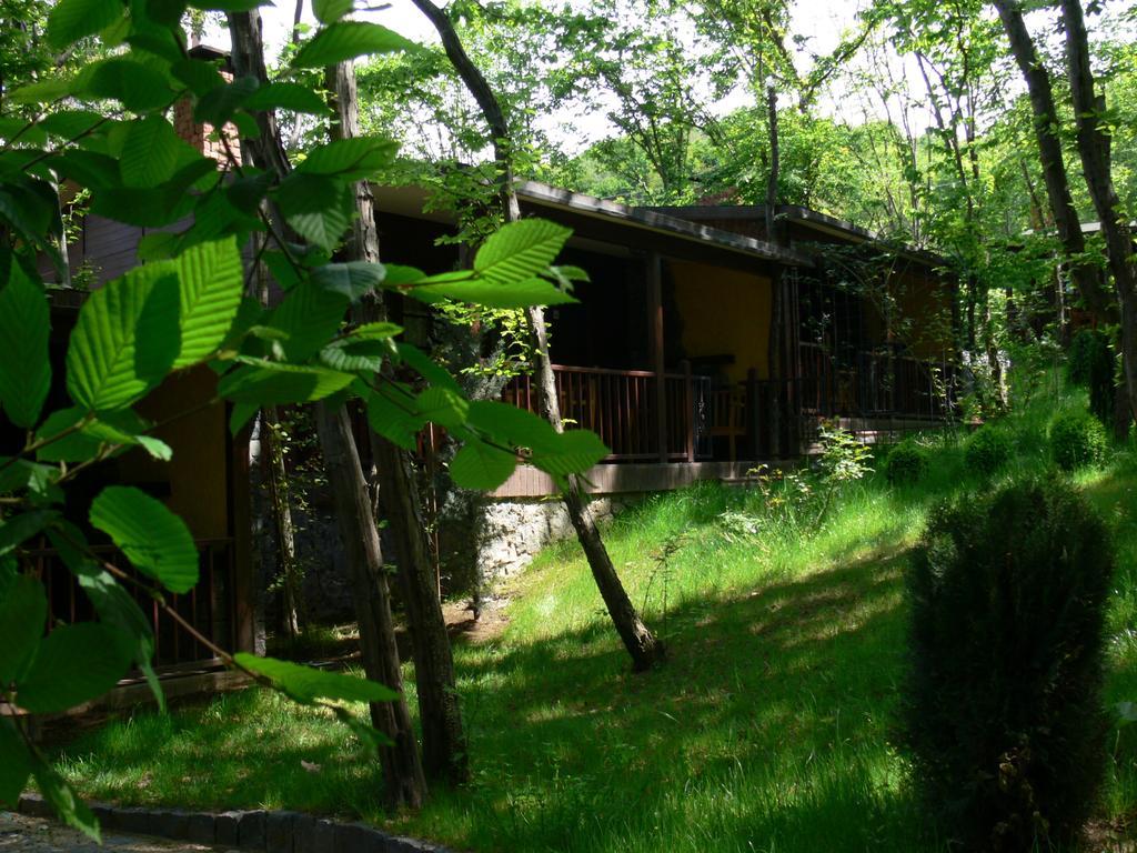 Fatsa Dolunay Fanizan Hotel חדר תמונה